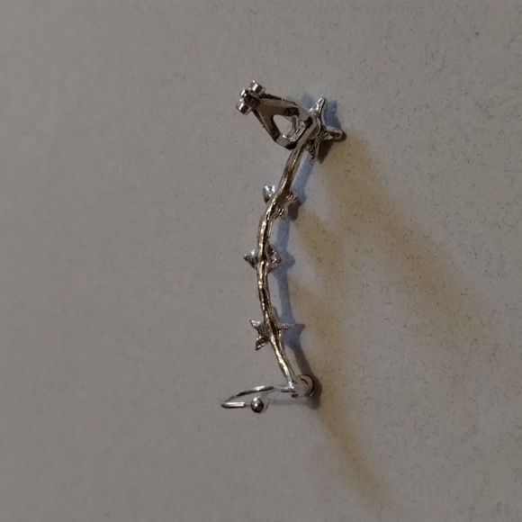 Silver Ear Crawler! - Picture 4 of 6